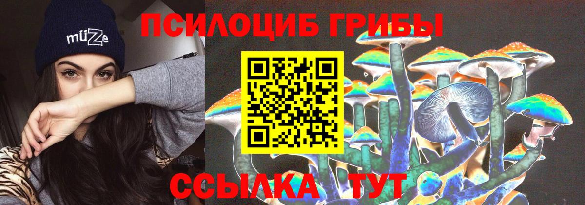 Галлюциногенные грибы мухоморы  Галлюциногенные грибы Magic Shrooms  Вход с VPN  Димитровград 